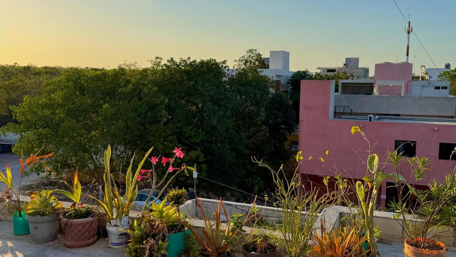 Armonia Apartment Tulum